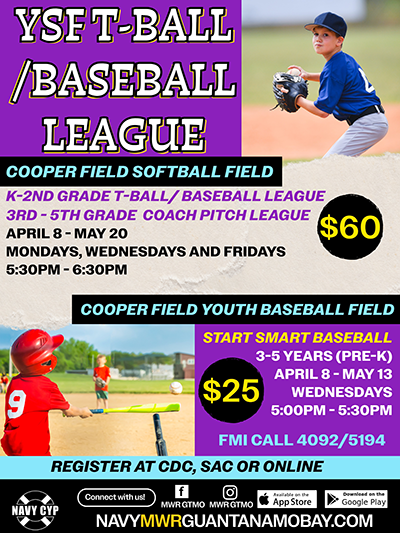 YSF BASEBALL T-BALL UPDATED FLYER NL.png