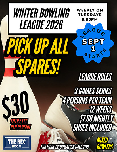 PICK UP ALL SPARES flyer NL.jpg