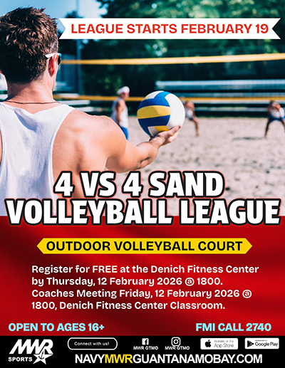 NL new  SAND VOLLEYBALL LEAGUE.png